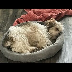 Meet your Posher, Dena